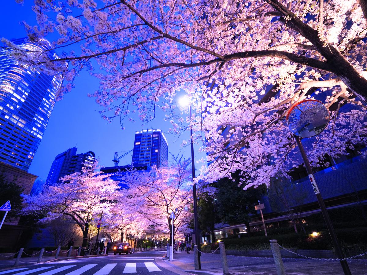 Green Finance. Tokio ist für Investoren interessant, nicht zuletzt wegen seiner Konnektivität und dem schwachen Yen.