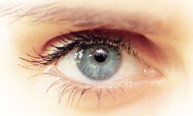 MakeUpTrends Farbtupfer