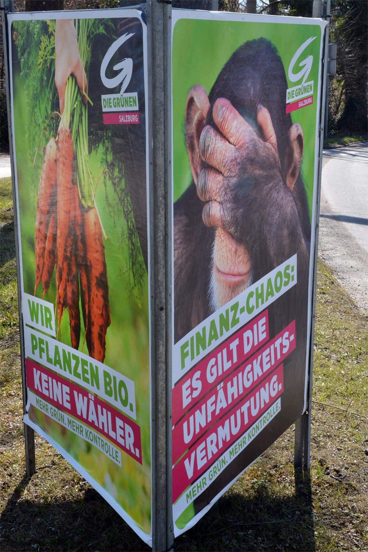 Die Grünen versuchen es mit Humor: "Finanz-Chaos: Es gilt die Unfähigkeitsvermutung" ist auf den Plakaten zu lesen - mit dem Bild eines Affen, der sich die Augen zuhält. Und: "Rot-Schwarz: Nichts geht mehr", geziert von einem hilflos auf dem Rücken liegenden Marienkäfer. Das Motto "Mehr Grün. Mehr Kontrolle" findet sich auf allen Plakaten.