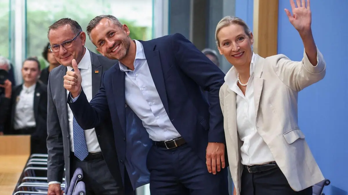 Five reasons for the rise of the AfD