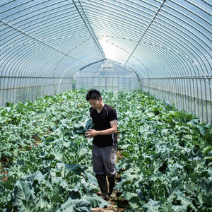 Japans Bauern fürchten den Pakt ihrer Regierung mit der EU. Für Europas Agrarindustrie öffnet sich ein gewaltiger Markt.