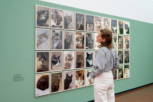 Malerei, Skulptur, Fotografie und Video treten in der Ausstellung in einen Dialog über Nähe, Distanz und das gemeinsame Verhältnis von Mensch und Tier.