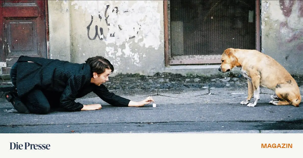 Spurensuche-zu-Christian-Ulmen-Das-Archiv-ist-ein-Hund-premium-