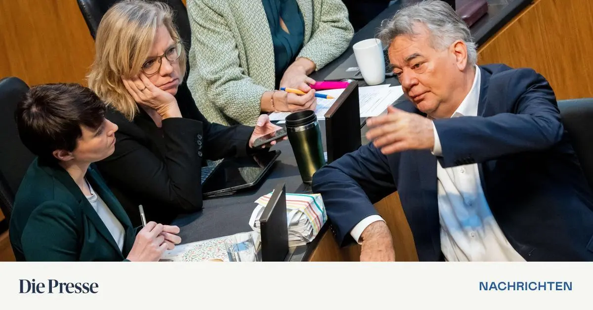 Die-Gr-nen-im-Zwiespalt-zwischen-Trotz-und-dem-Bekenntnis-zur-konstruktiven-Oppositionsarbeit-premium-