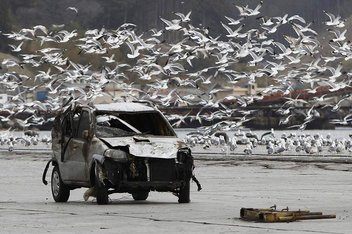 Montag (4. April): Ein Schwarm von Seemöwen steigt hinter einem zerstörten Wagen in Ofunato auf.
