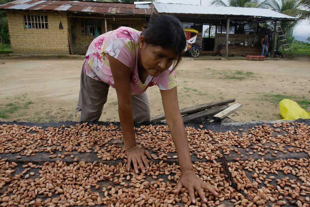 Kakao ist ein wichtiges Exportprodukt zahlreicher Entwicklungsländer, vor allem aus Afrika, und der Grundstoff bei der Herstellung von Schokolade. Der Kakaoanbau gehört zu den stark umstrittenen Aktivitäten globaler Unternehmen, wie das Schwarzbuch Markenfirmen beschreibt. Für Spekulanten wird dieser Rohstoff regelmäßig zum Objekt der Begierde.