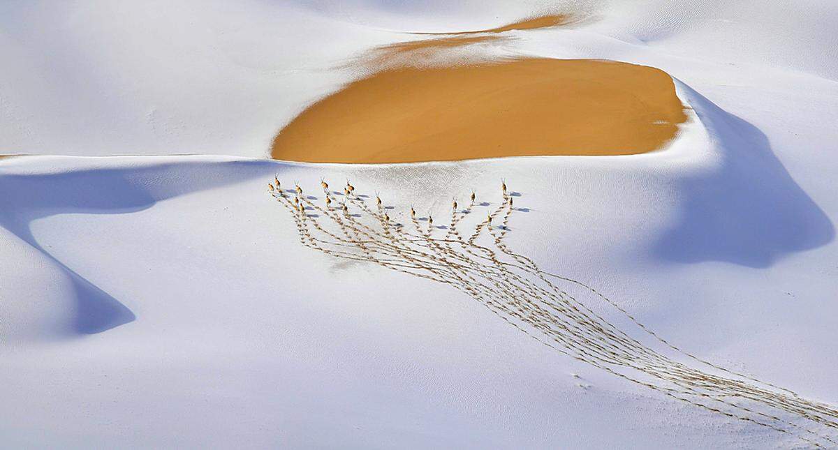 "Snow-plateau nomads" - von Shangzhen Fan in China.