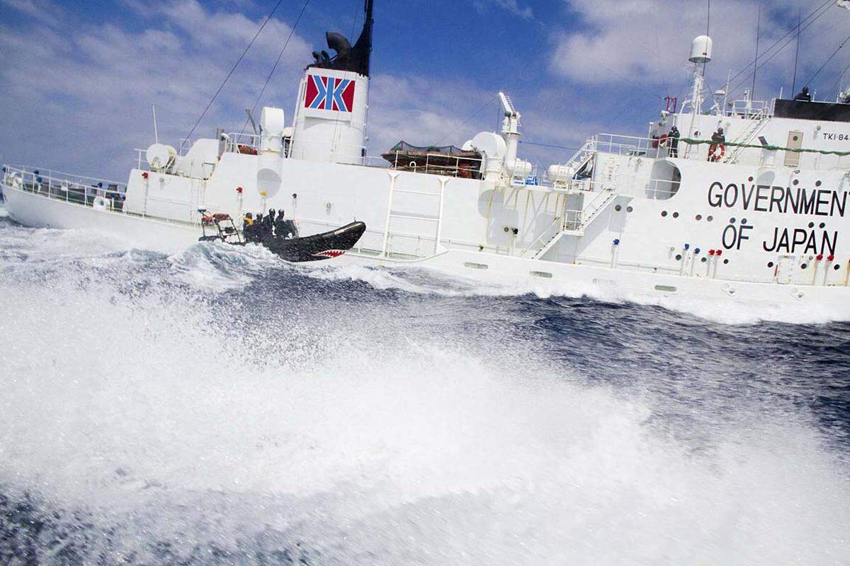 Am 8. Jänner haben drei Australier das Schiff "Shonan Maru 2" geentert - seither werden die Männer dort festgehalten. Sie versuchen, durch einen Hungerstreik das Schiff zur Umkehr zu bewegen.