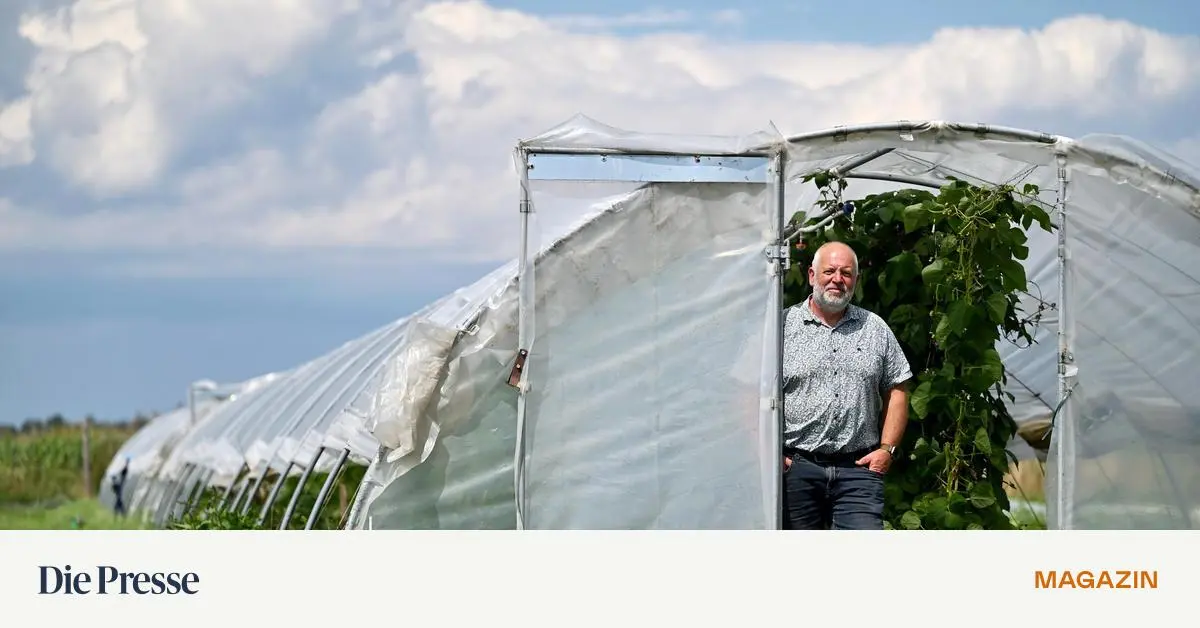 Von-der-Natur-lernen-und-dabei-Gem-se-ernten-premium-