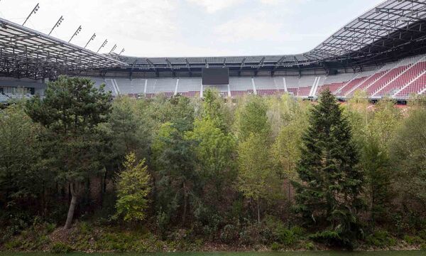 Mit "For Forest" entstehe ein radikales Bild: "Ein Wald, den wir in einen völlig neuen Kontext stellen."