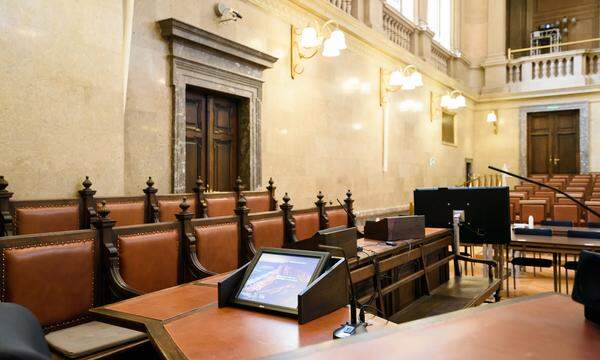 Im Großen Schwurgerichtssaal des Landesgerichts für Strafsachen Wien waren vorige Woche drei Ex-BVT-Männer vor einem Schöffensenat gestanden. 