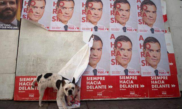 Pedro Sanchez' Sozialisten wurden stärkste Kraft, doch für eine Regierungsmehrheit reicht es vermutlich wieder nicht. 