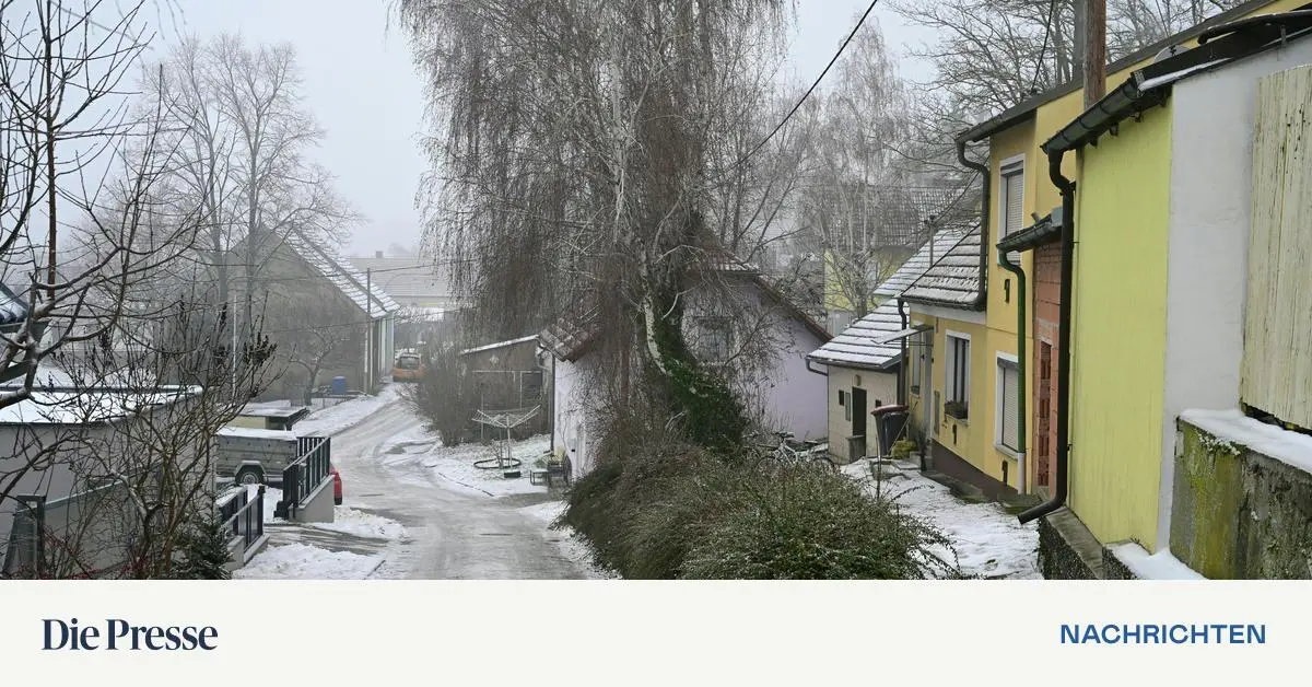 Get-tete-36-J-hrige-im-Bezirk-Mistelbach-U-Haft-ber-Lebensgef-hrten-verh-ngt