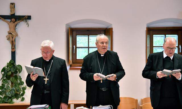 Bischofstrio: Erzbischof Lackner (l.) prüft auf päpstliche Anordnung Aktivitäten von Bischof Schwarz (r.), worüber sich Kardinal Schönborn erfreut zeigt. 