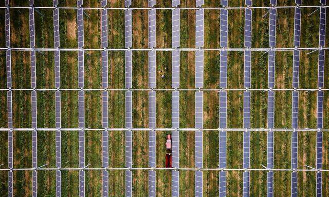 Solarpaneele im Weingarten. Mit dem Ausbau der Erneuerbaren alleine wird Österreich seine Klimaziele nicht erfüllen. 