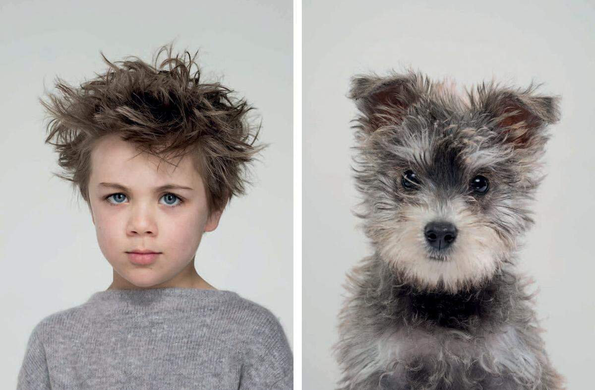 Kindchenschema: Kleine Kinder und kleine Hunde.
