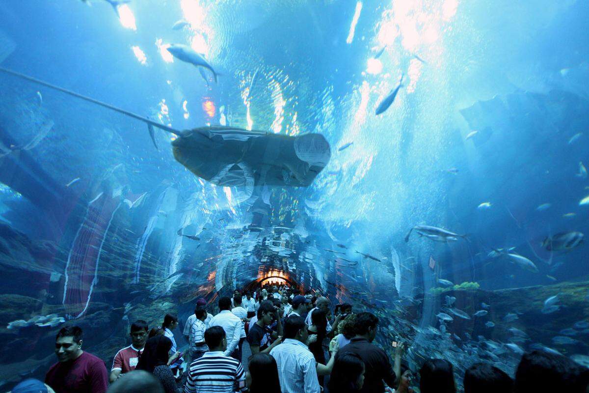 Nicht nur Einkaufen kann man in der Dubai Mall, sondern auch unterhalten. Etwa etwa mit dem Aquarium.