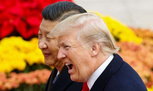 Trump und Xi bei einem Treffen im Vorjahr.