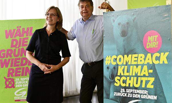 Das Motto der zweiten Plakatserie der Grünen lautet "Comeback" - zu den Grünen und zum Klimaschutz. "Das ist ein Appell an die Wähler", so Spitzenkandidat Werner Kogler.