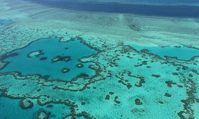 Eine Luftaufnahme eines kleinen Teils des Great Barrier Reefs.
