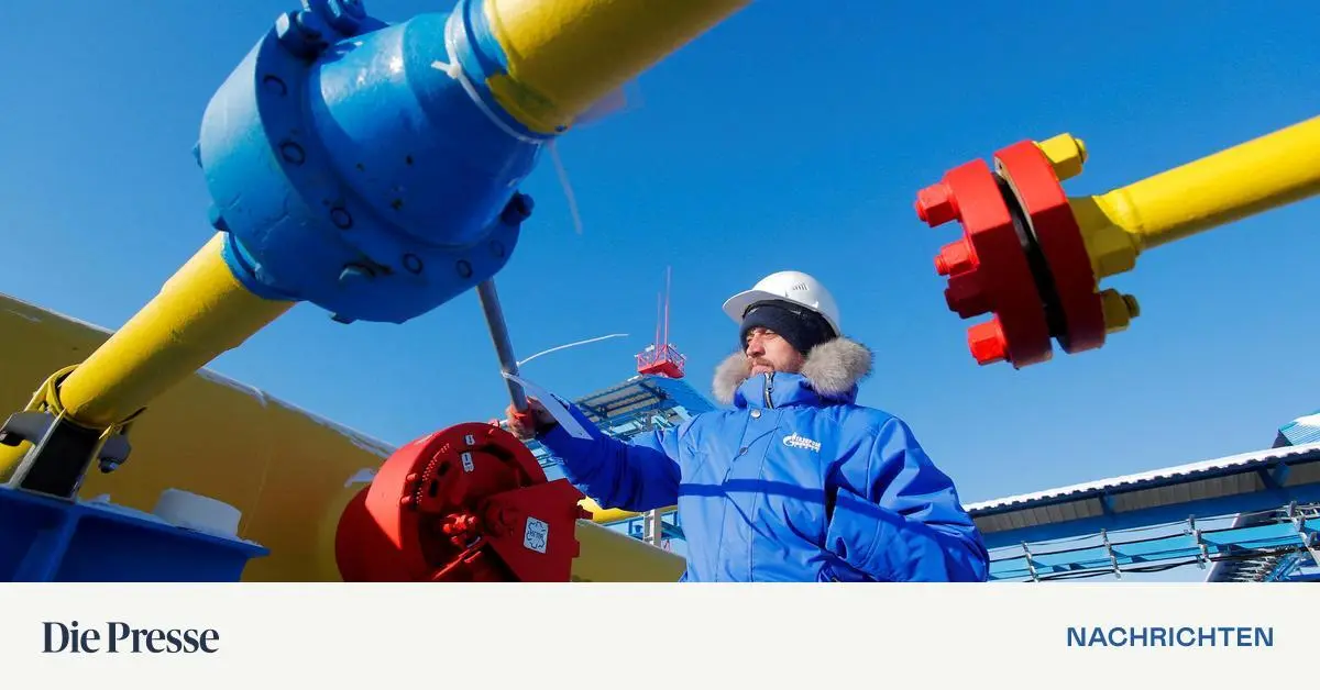 FP-warnt-vor-Aus-f-r-russische-Gasimporte