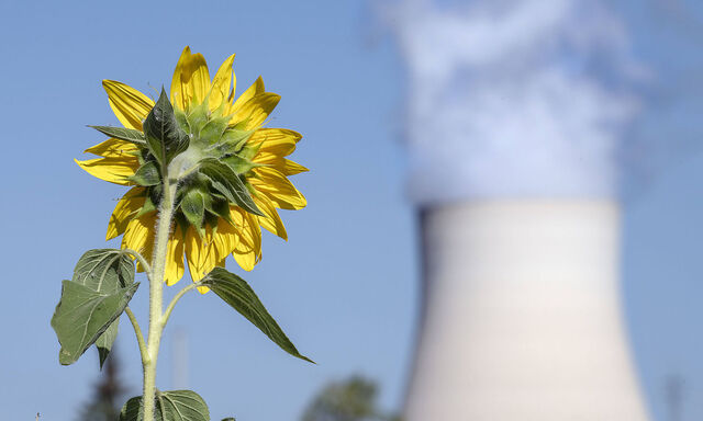 Atomkraftwerk Isar 2 in Essenbach bei Landshut, Symbol Sonnenblume, Juli 2022 Deutschland, Essenbach, 19. Juli 2022, Ato