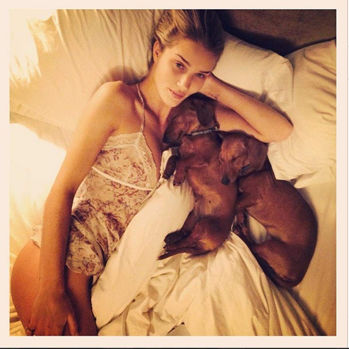 Auch Model Rosie Huntington-Whiteley kuschelt gerne mit ihren Dackeln.