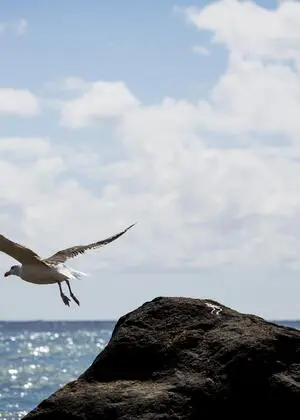 Ein Offshore-Windpark von Ørsted vor Rhode Island in den USA. 