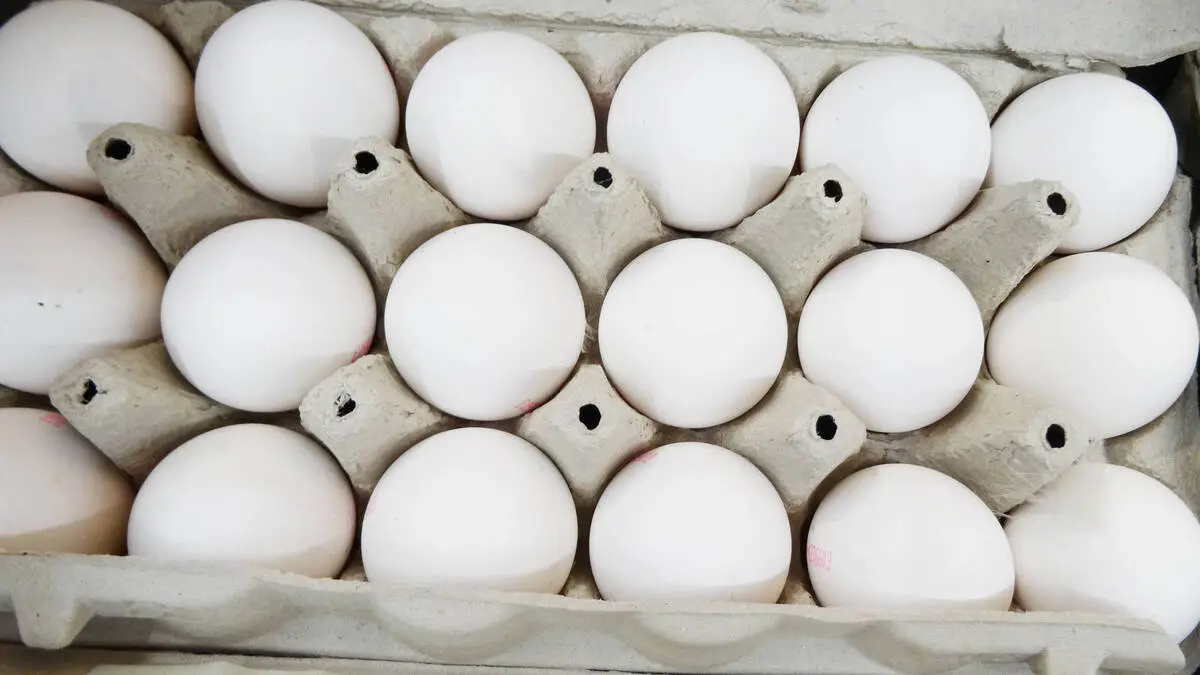 Kritik-an-deutschen-Eiern-bei-Spar-Verpackung-zeigt-H-hner-im-Freiland-enthalten-sind-Eier-aus-Bodenhaltung