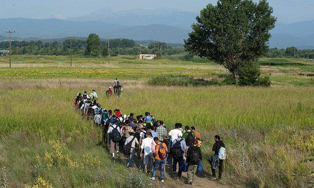 Syrian refugees walk through a field near the village of Idomeni at the Greek-Macedonian border