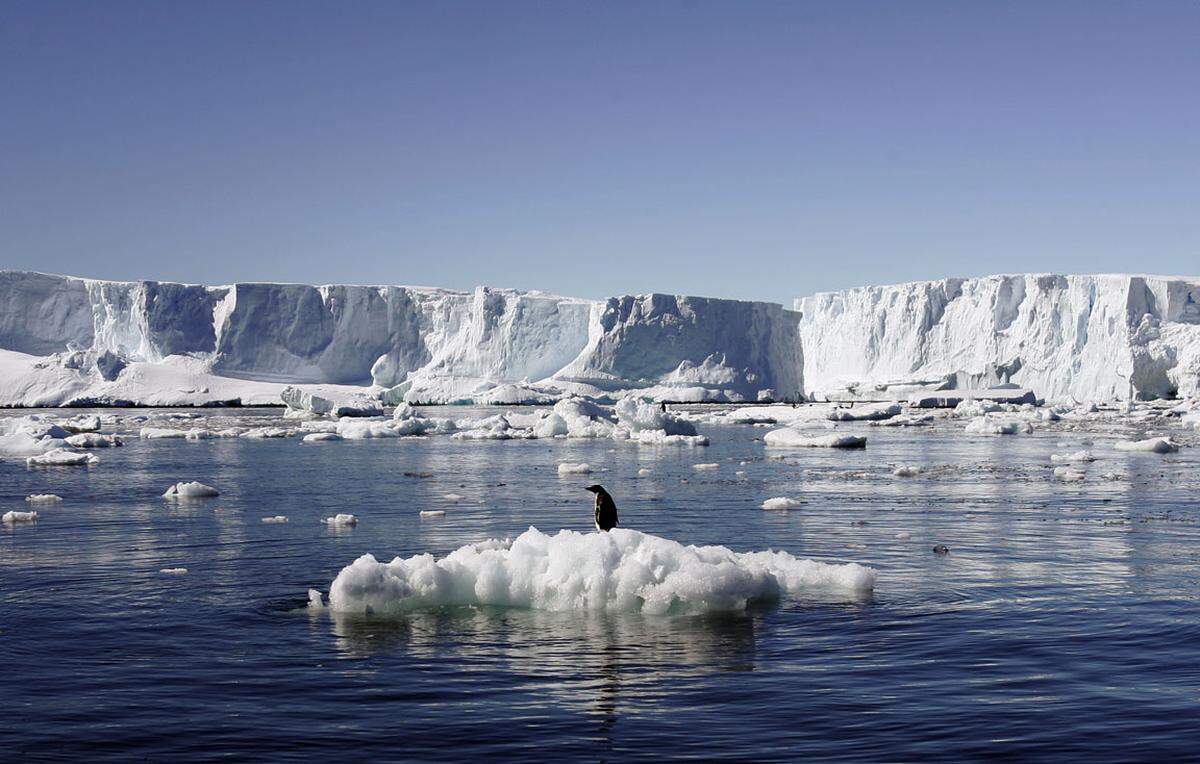 Immer beliebter wird auch die Fahrt in die Antarktis um Eisformationen und Pinguine aus nächster Nähe betrachten zu können.