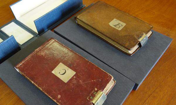 Die ledergebundenen Notizbücher enthalten Gedanken und Notizen von Charles Darwin.