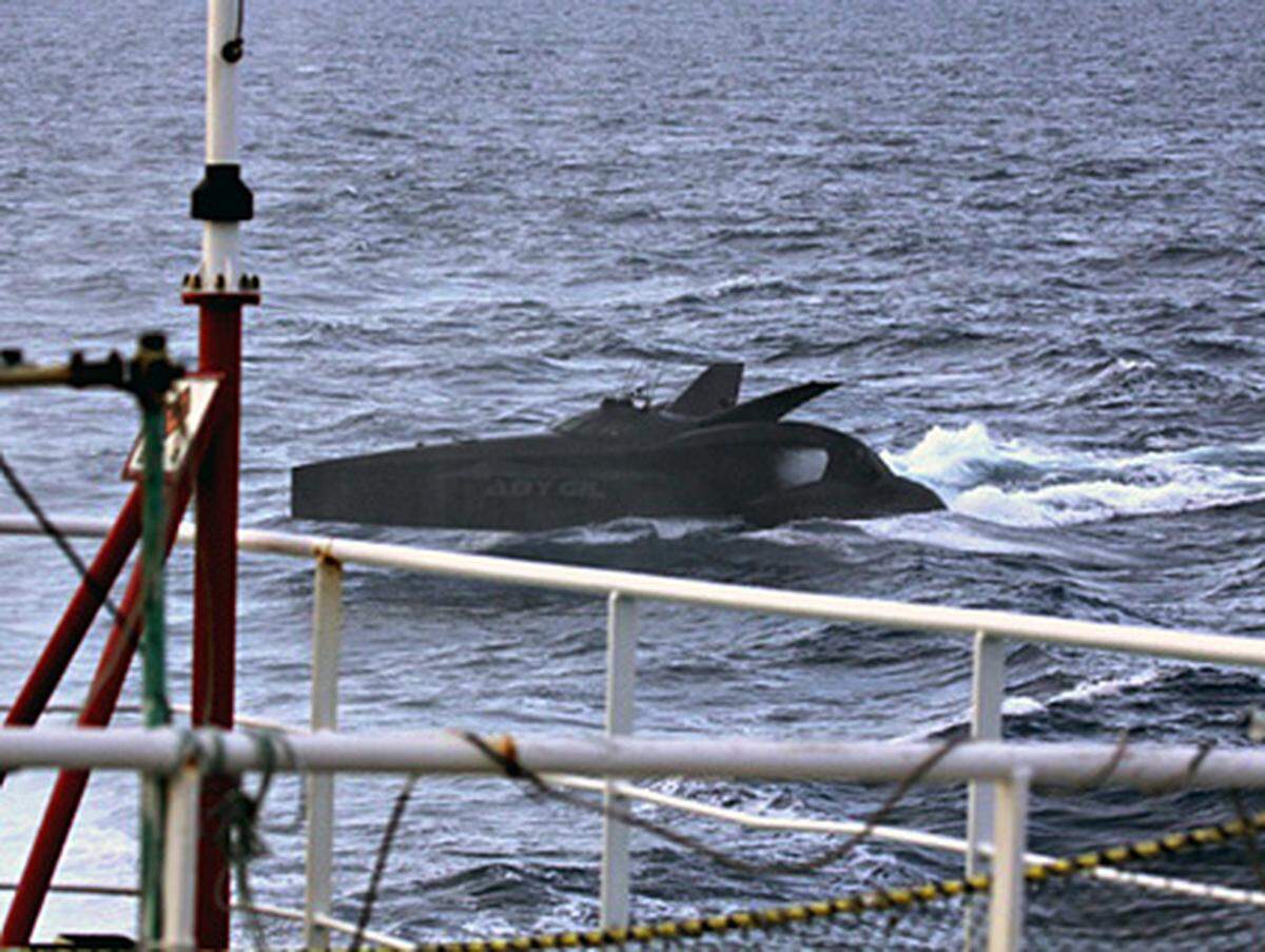 Nach Watsons Angaben hatte die Crew der "Ady Gil" das Walfangschiff zuvor mit Stinkbomben beworfen, um die Jagd auf die Meeressäuger zu behindern.