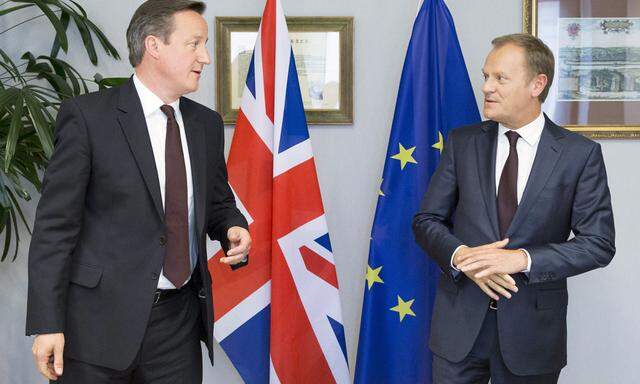 David Cameron und Donald Tusk.