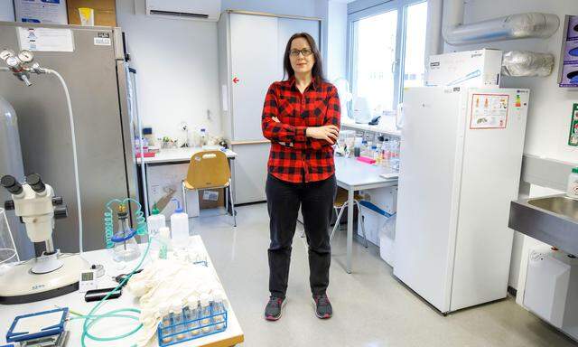 Premiere im Labor: Nadiia Sadova etablierte die Fruchtfliege als Modellorganismus an der FH OÖ am Campus Wels.