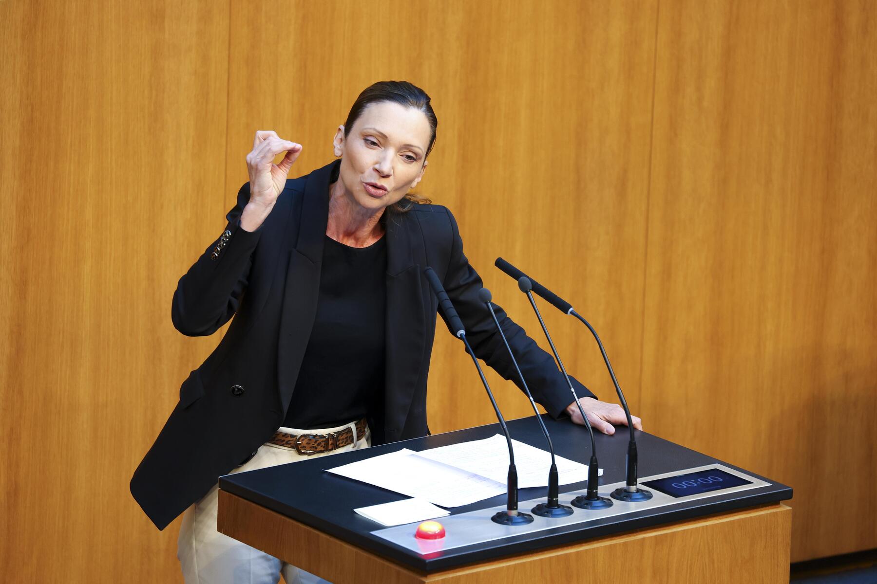„Und Millionen gehen raus“: FPÖ-Abgeordnete Fürst 