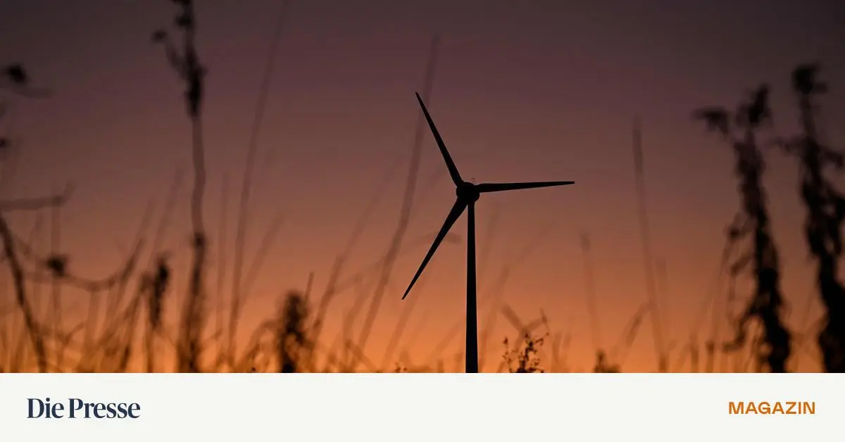 Teurere-Kredite-f-r-Wind-und-Solarkraftwerke-Finanzierung-f-r-Energiewende-ger-t-ins-Wanken-premium-