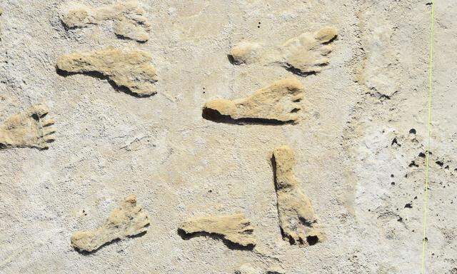 Diese Spuren wurden vor mindestens 21.000 Jahren am Ufer eines Sees in New Mexico hinterlassen.  ⫻ Matthew Bennet – Bornemouth University