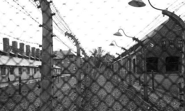 Aufstand in Auschwitz: „Nicht kampflos in die Gaskammer gehen