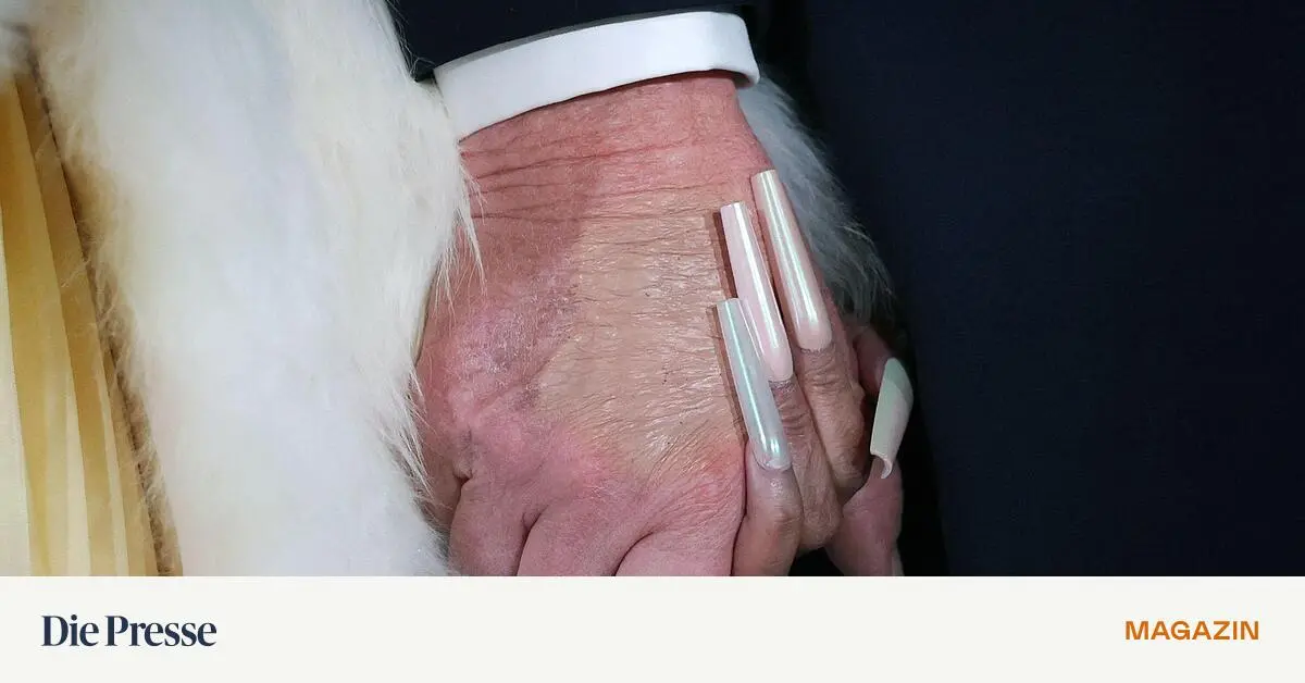 Promis-und-Politik-Wer-ist-f-r-und-wer-gegen-Trump-premium-