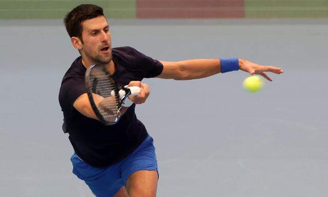 TENNIS - ATP, Erste Bank Open