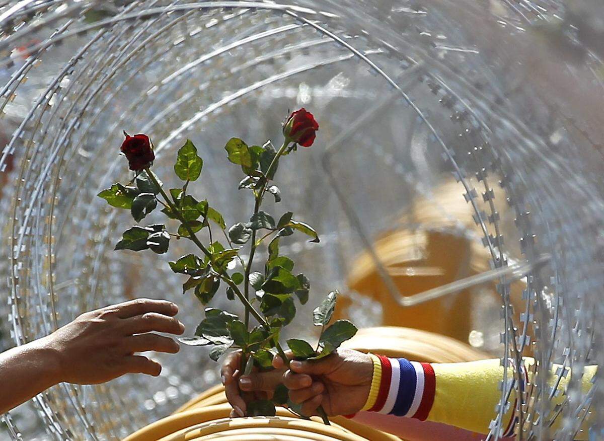 Rosen gegen Stacheldraht: Demonstranten überreichen Soldaten zum Zeichen ihrer friedlichen Gesinnung Blumen.