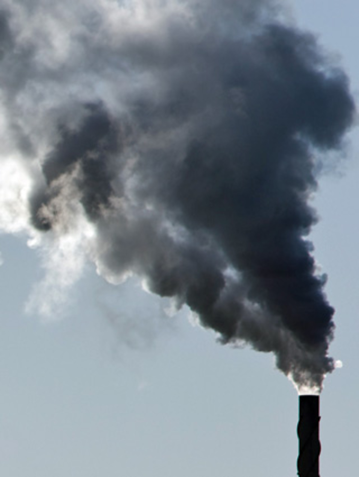 CO2 entstehen durch die Herstellung eines einzigen Baumwoll-T-Shirts.
