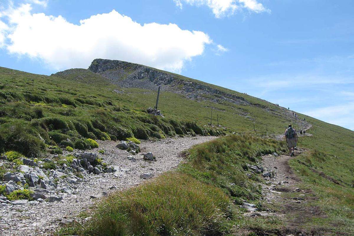 Auf etwa 1700 Meter Höhe und nach etwa eineinhalb Stunden ist der Ausstieg des Fadensteigs erreicht. Zwischen Latschen und Almblumen führt der Weg nun etwas flacher hin zum eigentlichen Ziel der Wanderung ...