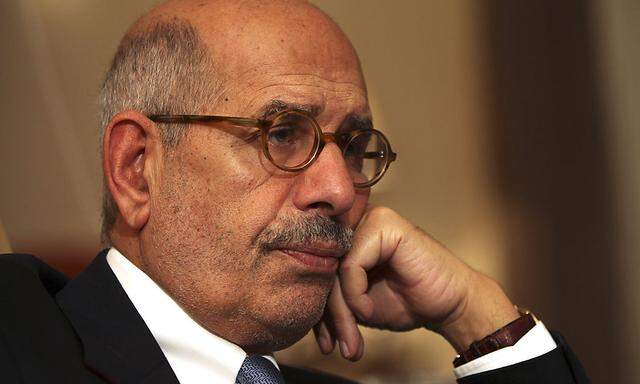 ElBaradei ruft zu Treffen aller Konfliktparteien in Ägypten auf 