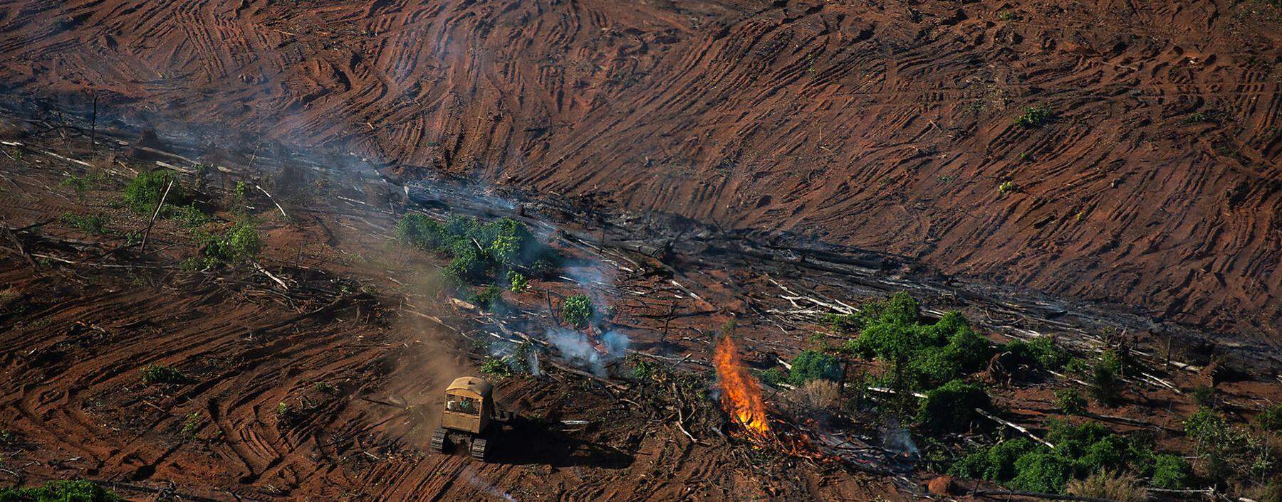 Deforestation and Fire Monitoring in the Amazon in July, 2020 Monitoramento de Desmatamento e Queimadas na Amazônia em Julho de 2020