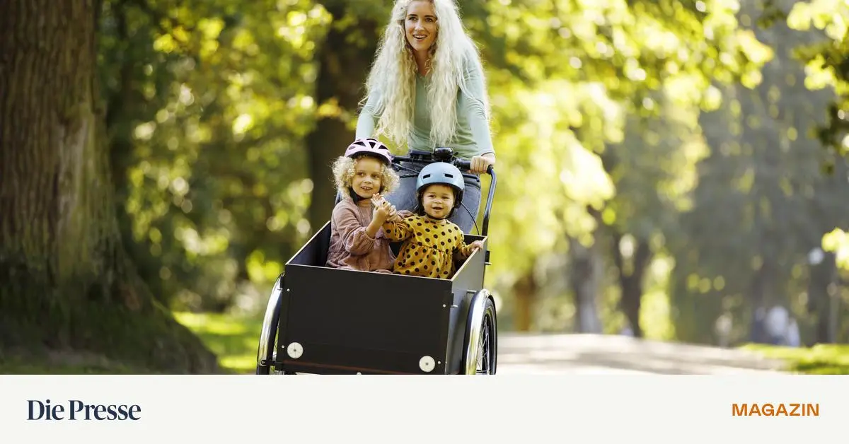 Milchpumpe-Federwiege-Kinderrad-Man-muss-ja-nicht-alles-kaufen-premium-