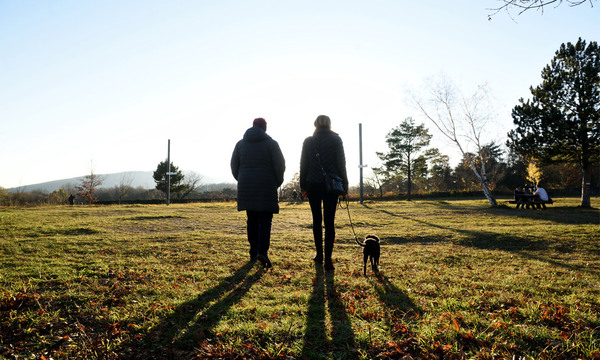 Symbolbild: Der nächste Herbst kommt bestimmt.