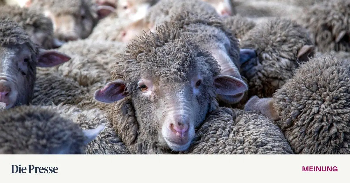 -berall-herrscht-Frust-Die-Pandemie-der-schlechten-Laune-und-ihre-politischen-Folgen-premium-