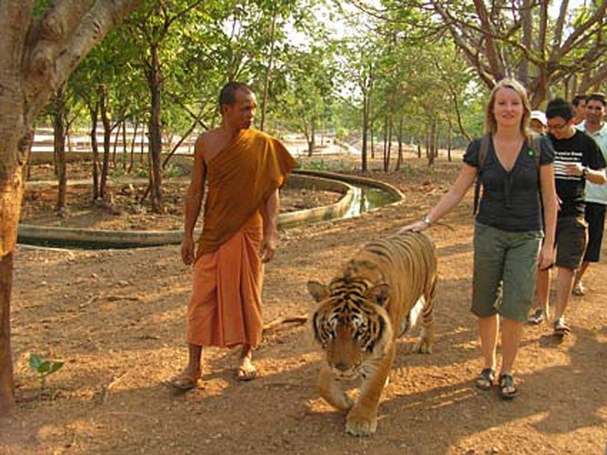 "Die Presse"-Mitarbeiterin Magdalena Dylewska war im März 2008 im Tempel der Tiger. Neben umgerechnet zwölf Euro musste sie beim Eingang eine unterschriebene Erklärung abgeben, im Fall eines Tigerangriffs nicht gegen das Kloster zu klagen.